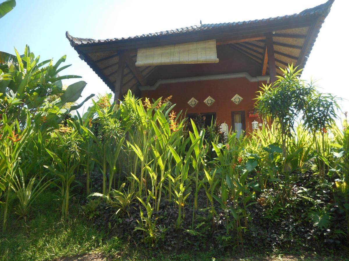 סיידמן Cegeng Lestari Guesthouse מראה חיצוני תמונה