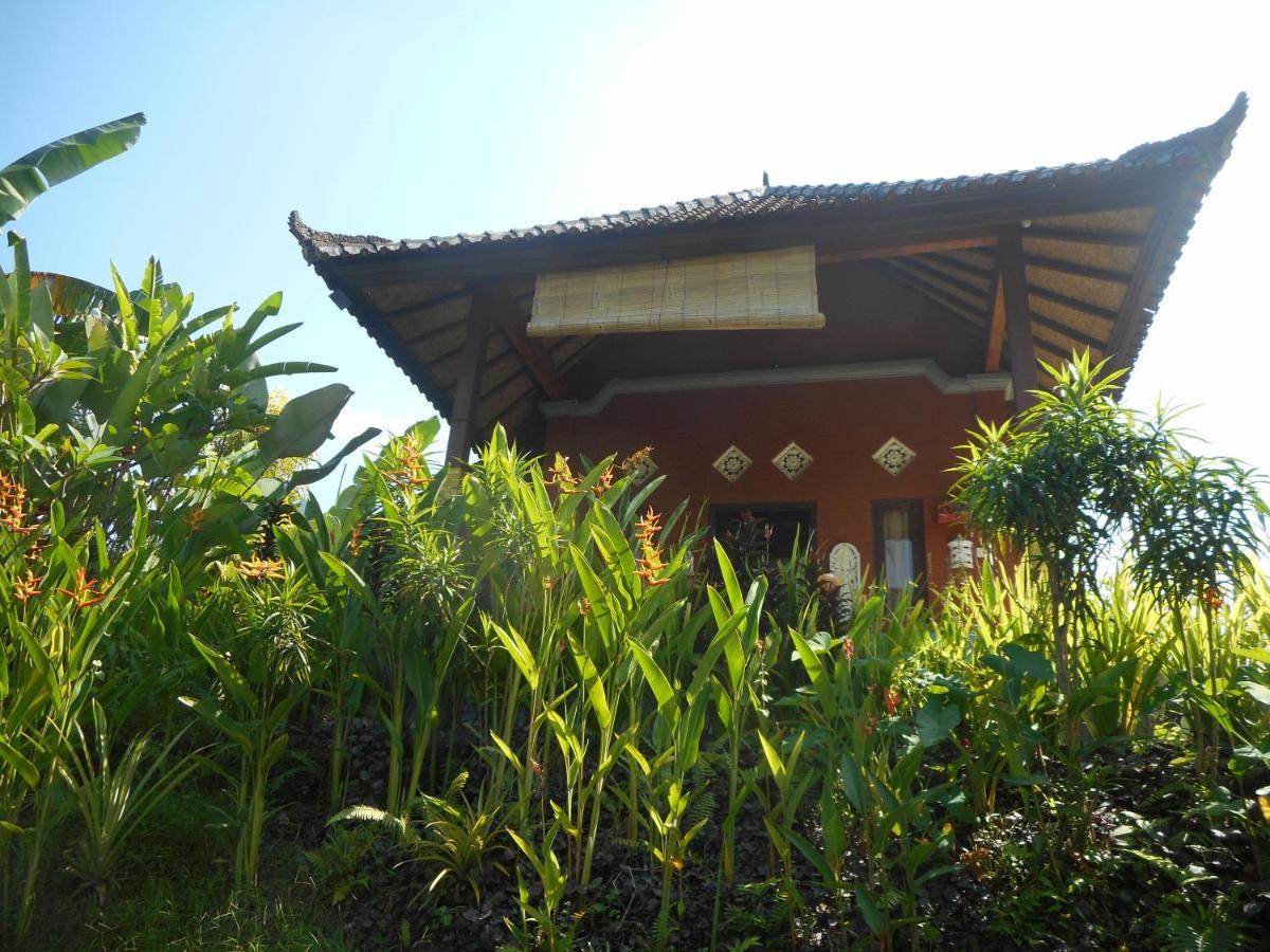 סיידמן Cegeng Lestari Guesthouse מראה חיצוני תמונה