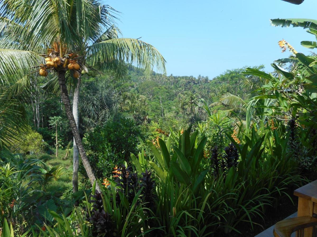 סיידמן Cegeng Lestari Guesthouse מראה חיצוני תמונה