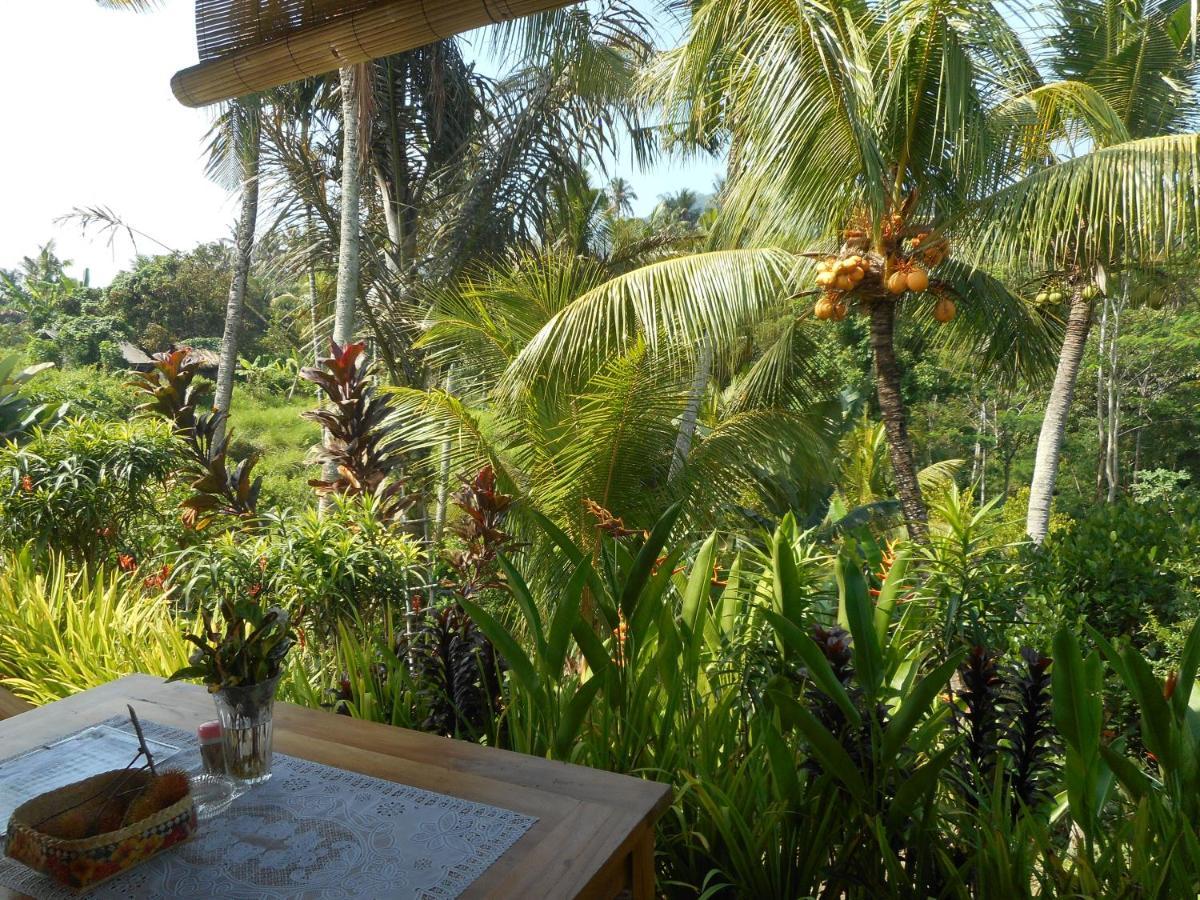 סיידמן Cegeng Lestari Guesthouse מראה חיצוני תמונה