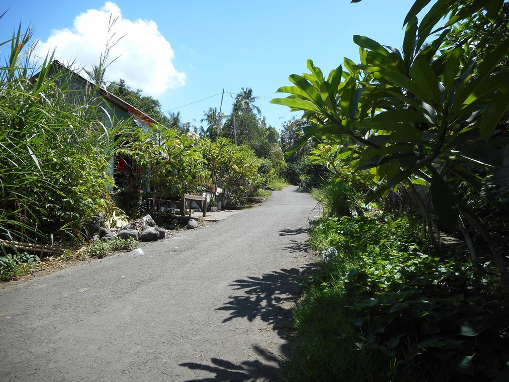סיידמן Cegeng Lestari Guesthouse מראה חיצוני תמונה